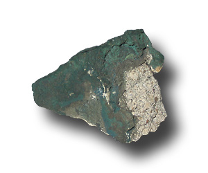 ��㋅��E�o�b�N�X�N���[��